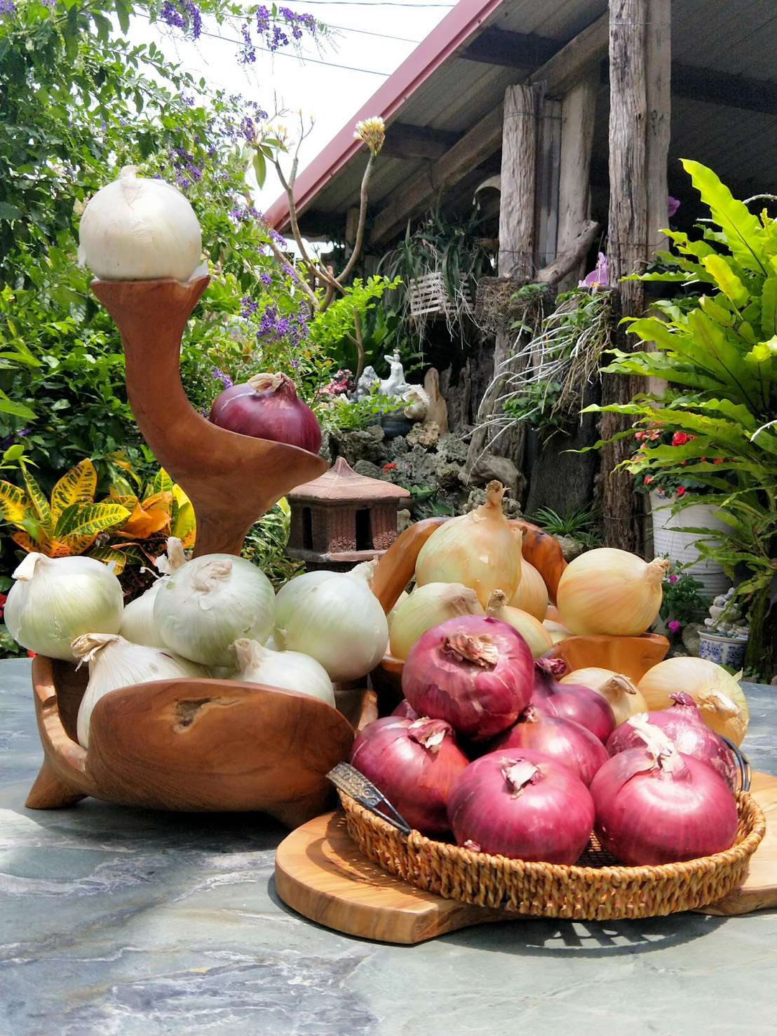 0421結-車城農會-紫洋蔥 ( 中球 )