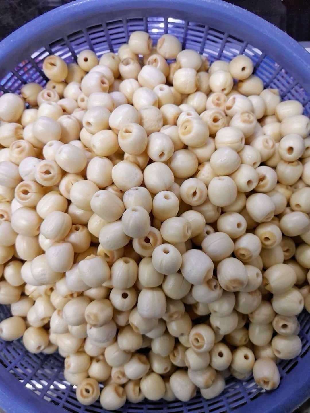 鮮採去膜蓮子