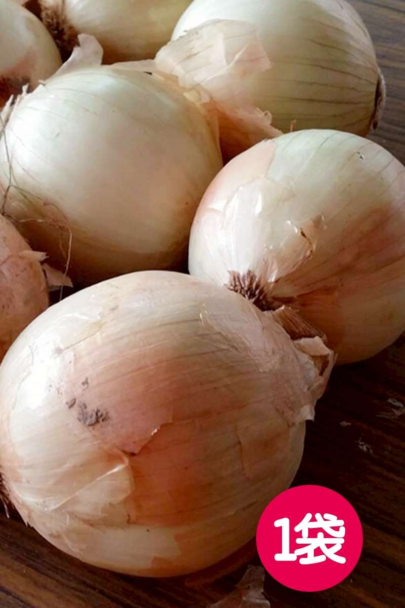 【屏東】車城洋蔥(大球) (4/6結單)