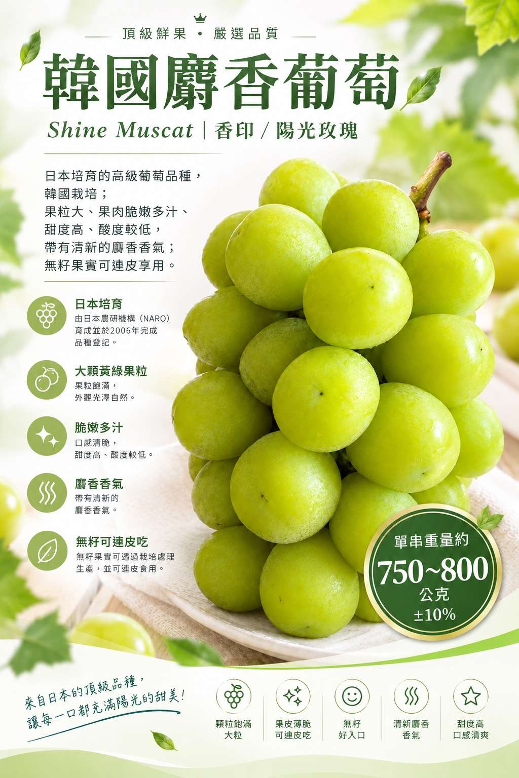 麝香葡萄(裸裝)