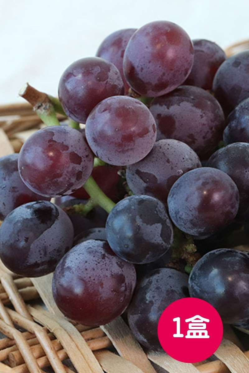 【彰化溪湖】溫室早春頂級葡萄 (4/6結單)