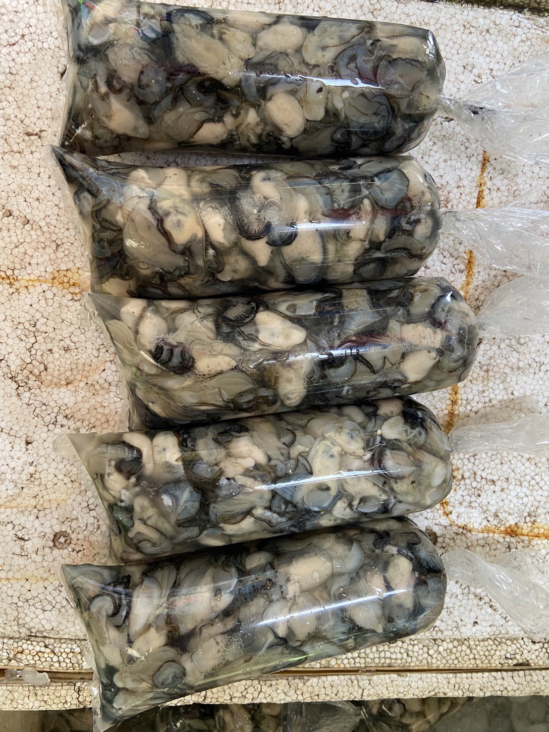 0516結-嘉義東石鮮蚵$240元/包