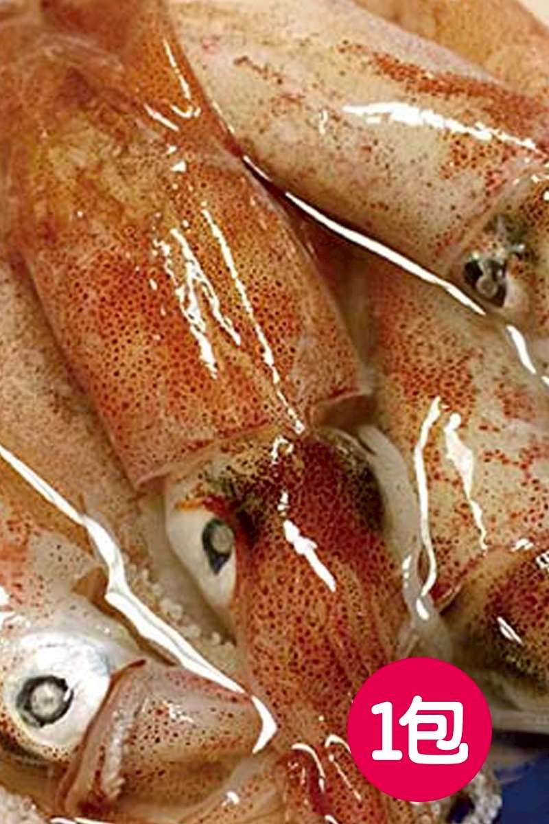 【限量商品】【季節性產品】【海撰】東北角大尾小卷 (8/3結單)