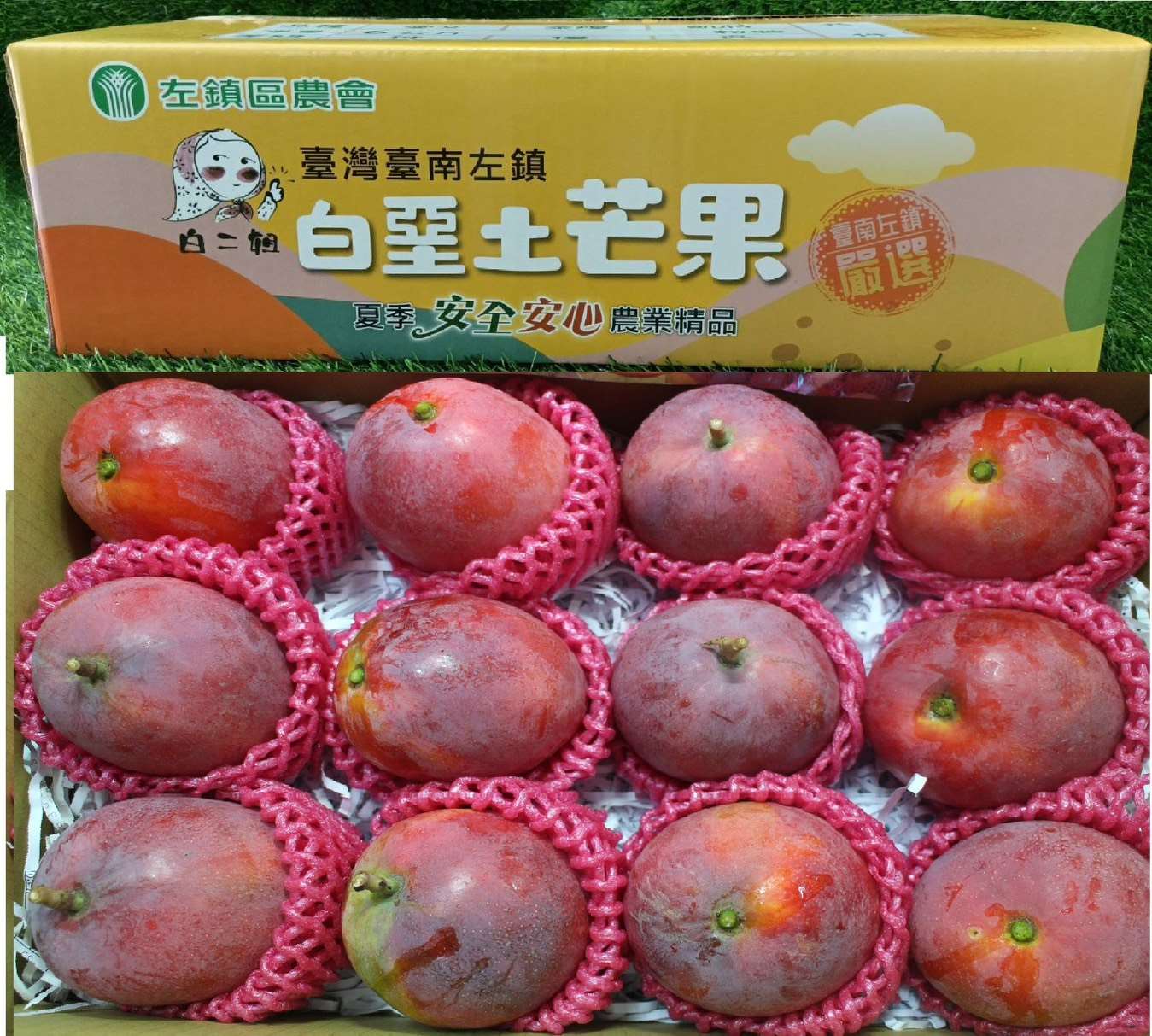 0609結-左鎮區農會-鮮愛文芒果禮盒 $900元/箱